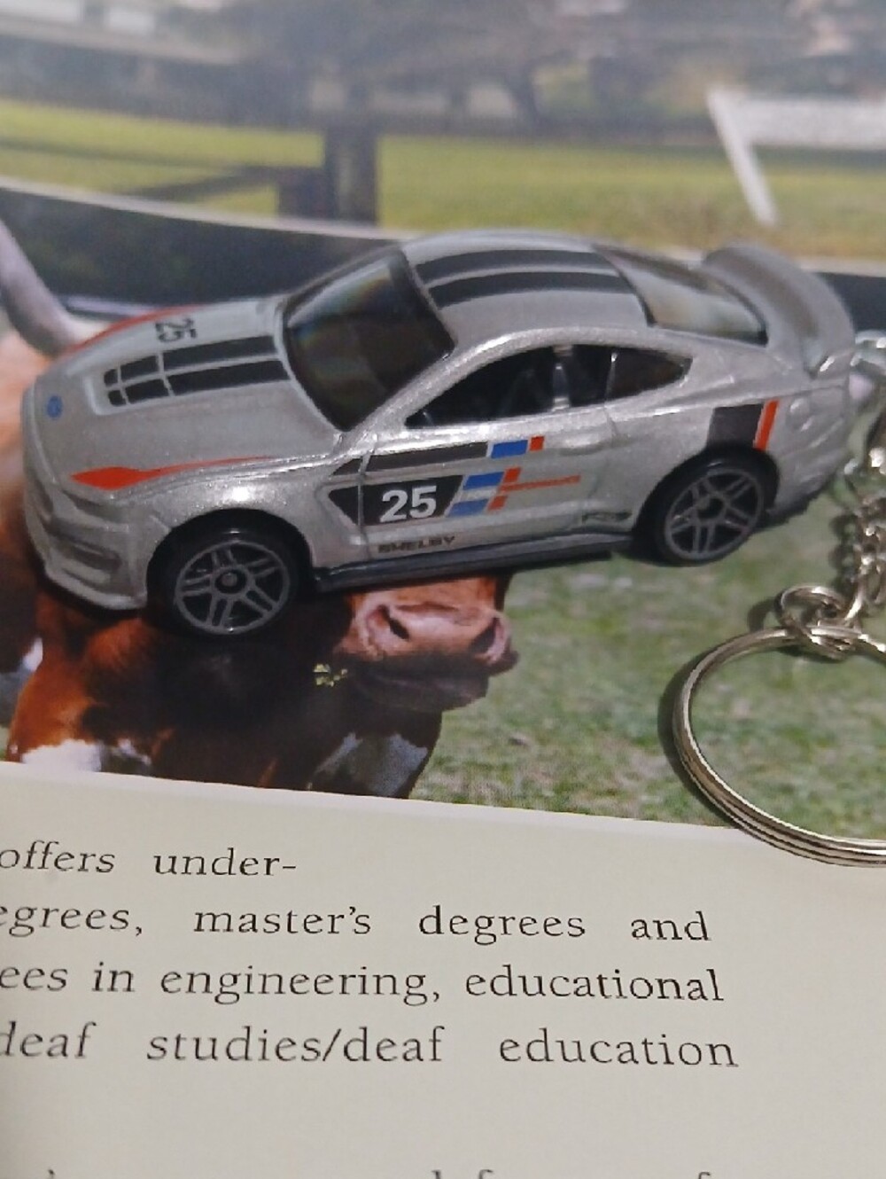 Ford Mustang GT R350R Die-Cast Silver Keychain